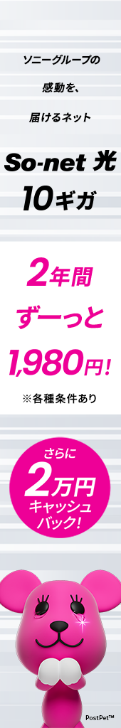 So-net 光 10ギガ