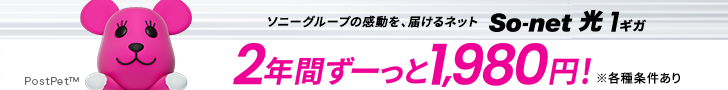 So-net 光 1ギガ