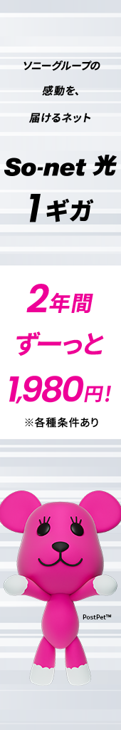 So-net 光 1ギガ